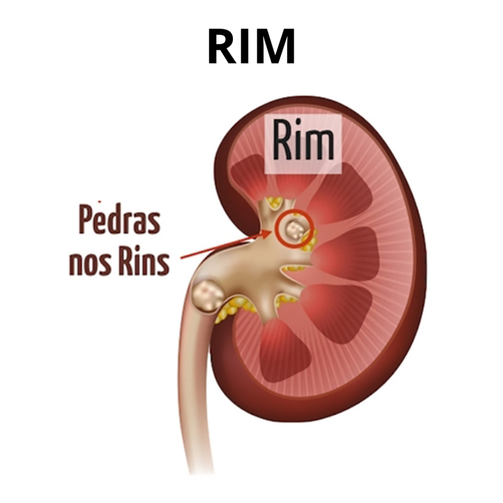 rim-dr-andres